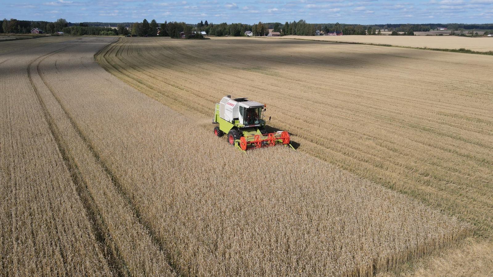 Claas Dominator 140 HydroDrive - Image 28
